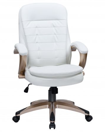 DOBRIN DONALD Executive Office chair, beige